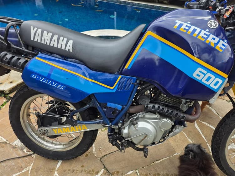 Revisada