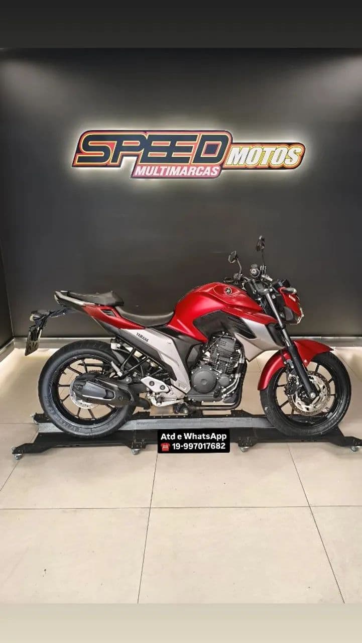 FZ 250 fazer 