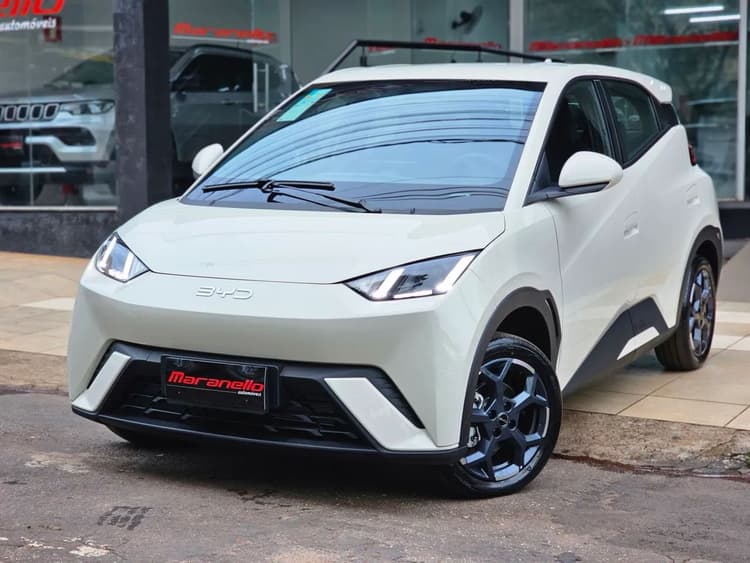 BYD Dolphin Mini GL 2027