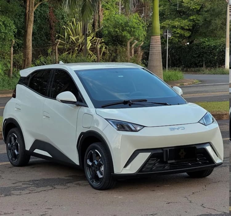 BYD DOLPHIN MINI 