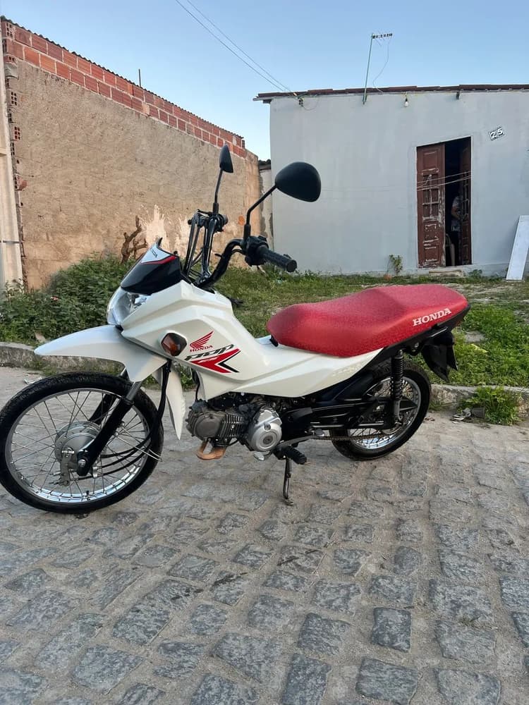 Pop 2026 único dono