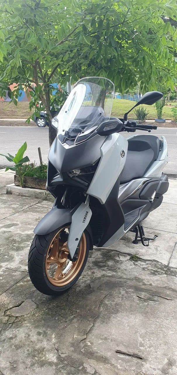 Xmax 300 