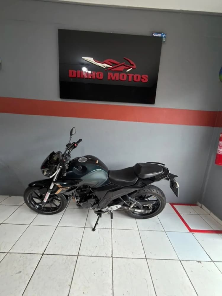 Fz 25 2024 