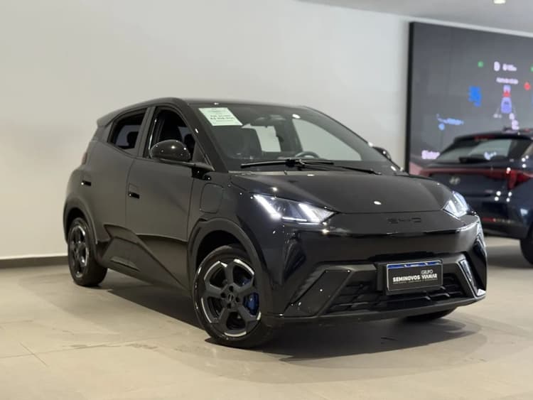 BYD Dolphin Mini (Elétrico) 2025