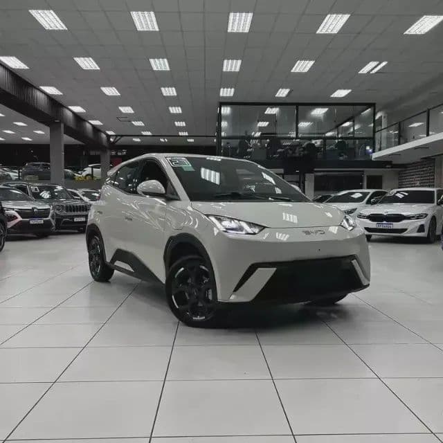 BYD Dolphin Mini (Elétrico) 2027