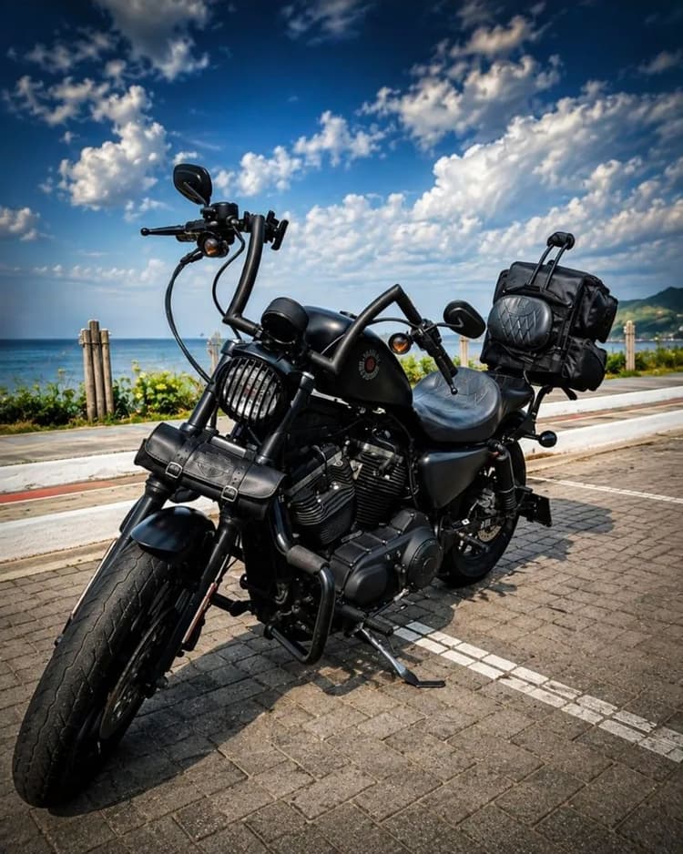 Harley Davidson Iron 883 