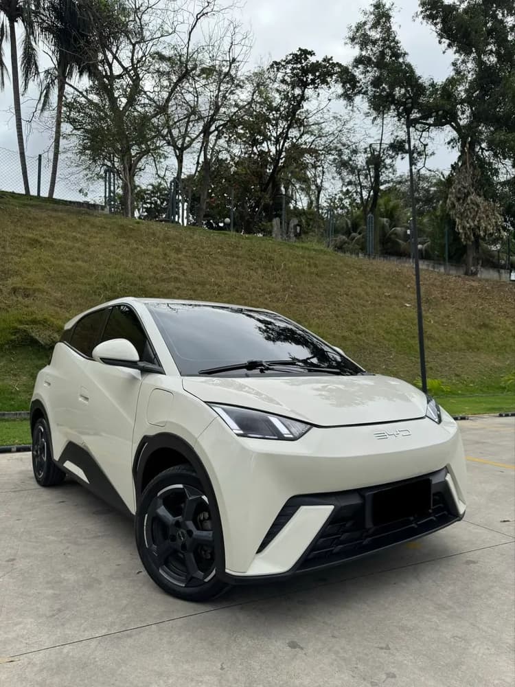 BYD Dolphin Mini (Elétrico) 2024
