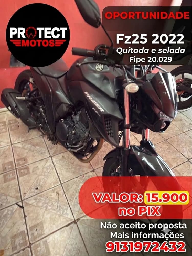 Fz25 2022