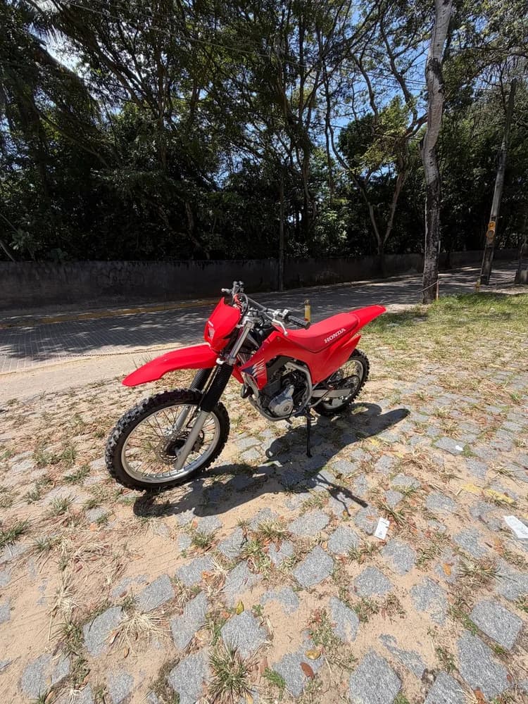 CRF250F 2025 
