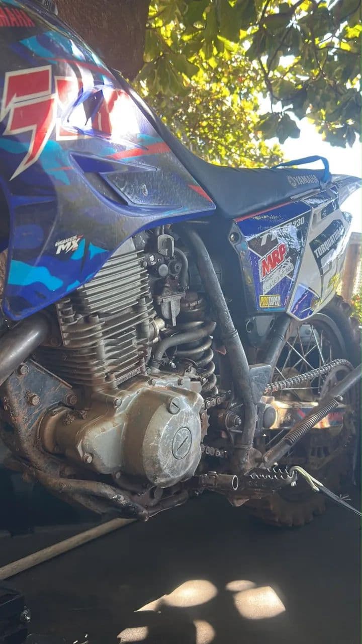 Yamaha ttr 230