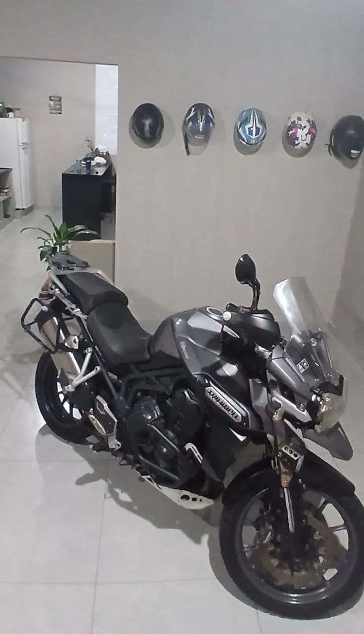 Tiger 1200 Explorer 