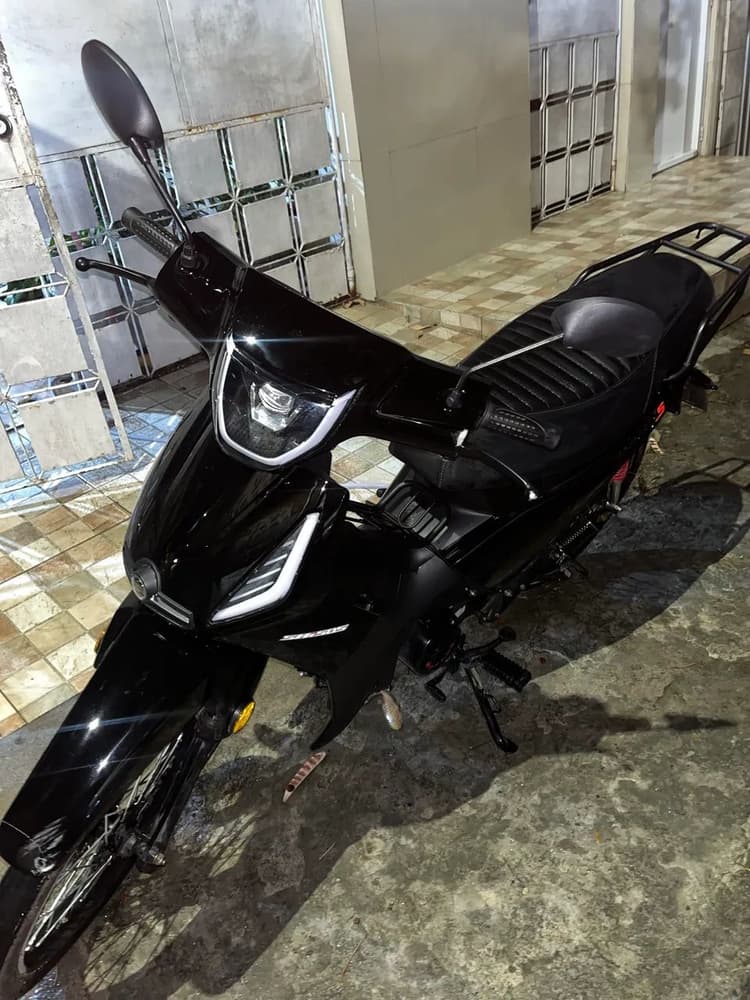 Phoenix 50S 2025