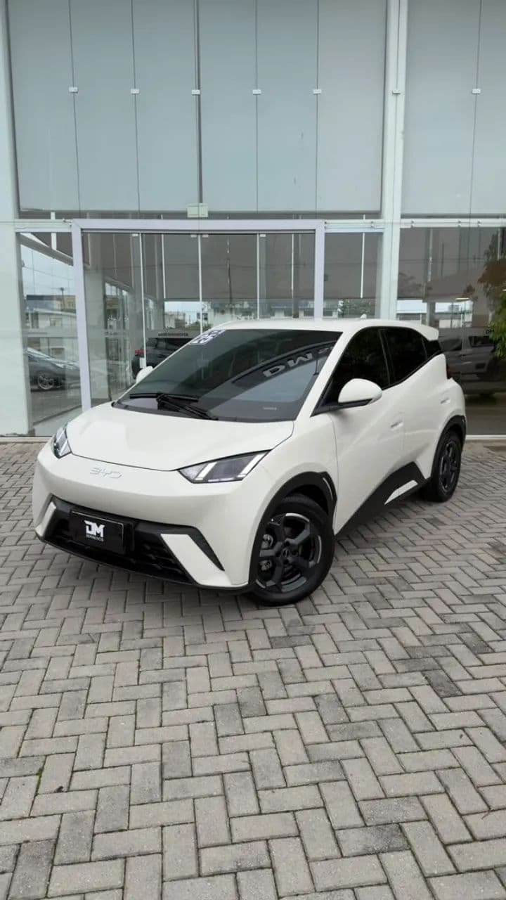 BYD Dolphin Mini (Elétrico) 2025