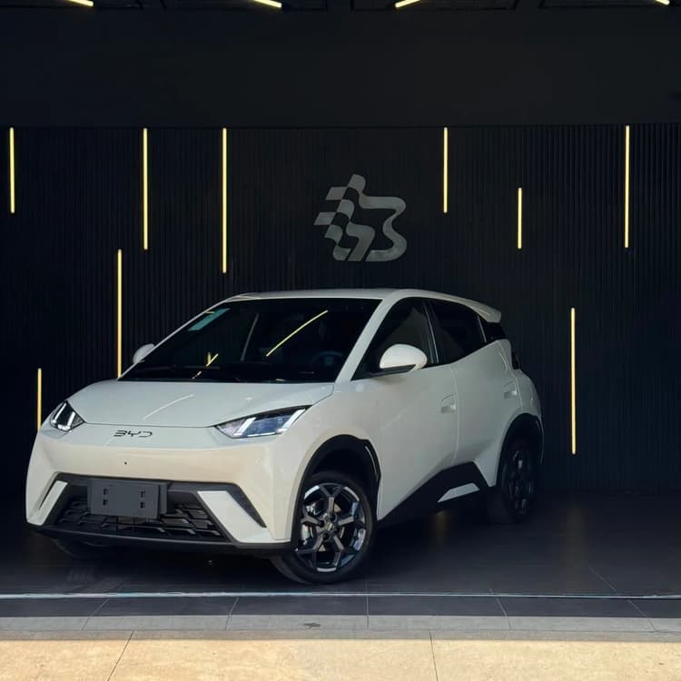 BYD Dolphin Mini (Elétrico) 2027