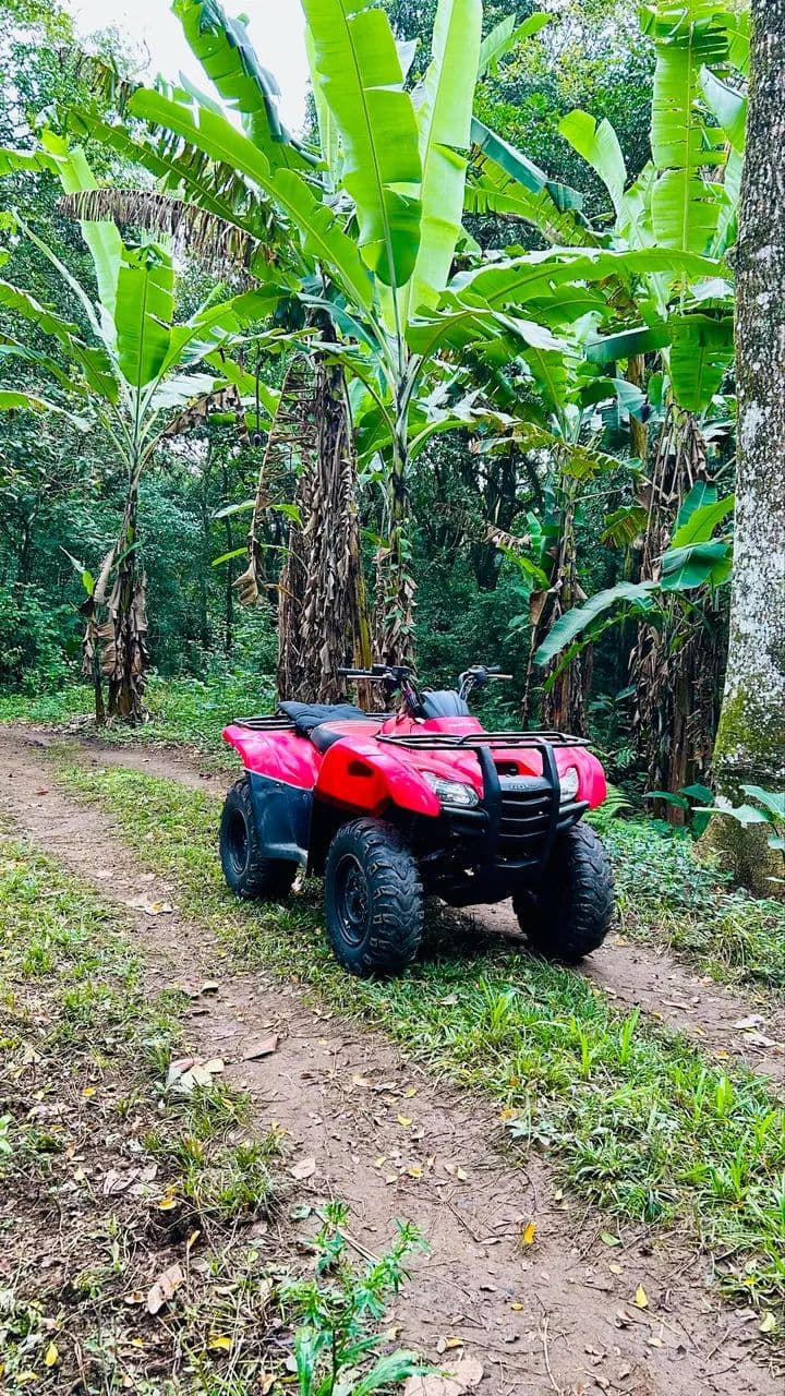 Honda Fourtrax 