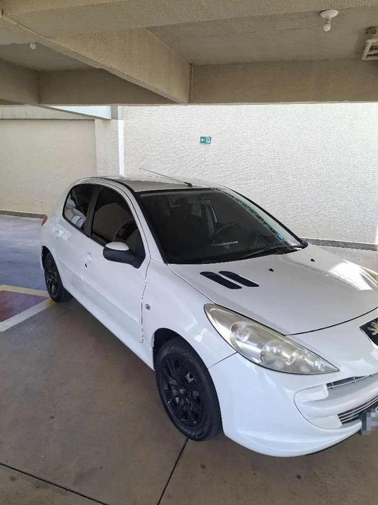 Peugeot 207 XR 1.4 Flex 8V 3P 2013