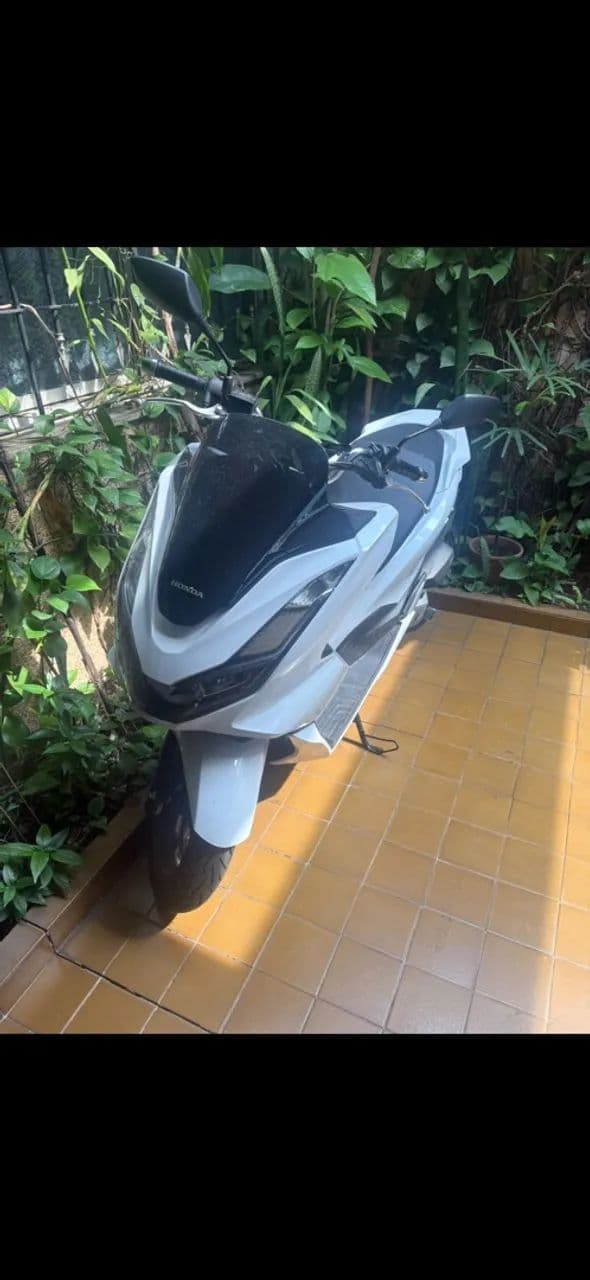 Pcx 2026 nova 
