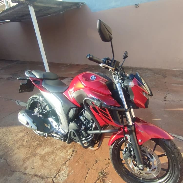 Fz250