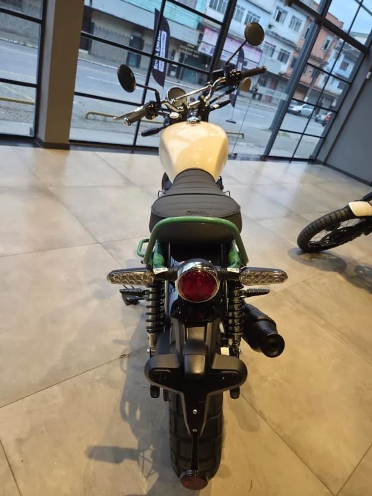 BEAR 650cc TWO FOUR NINE (CONSULTORA ESTER - 24 99979-0675)