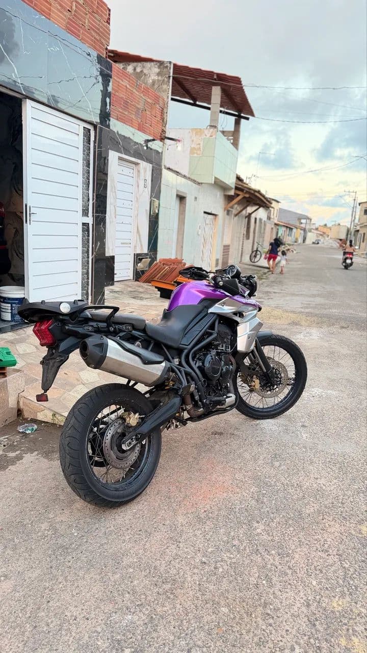 Tiger 800