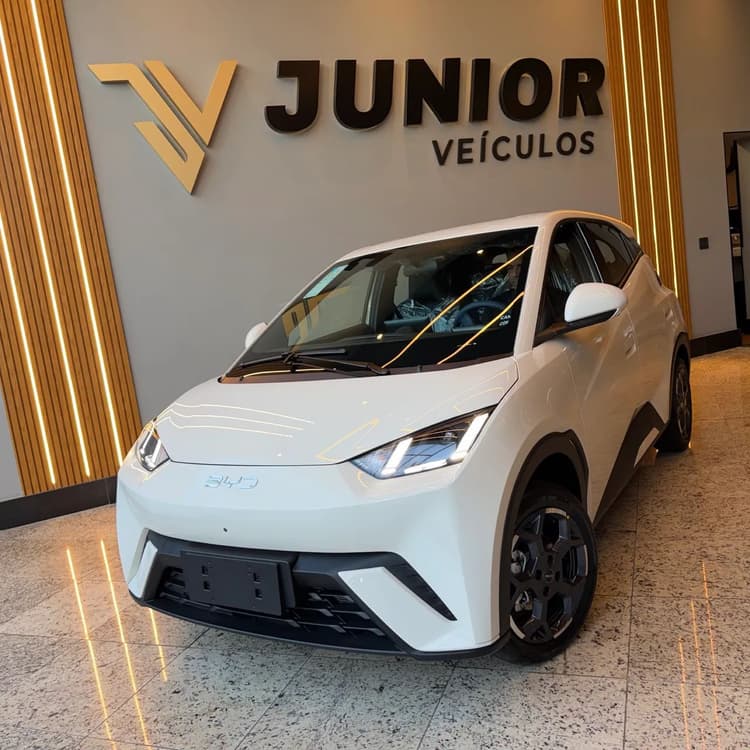 BYD Dolphin Mini (Elétrico) 2027