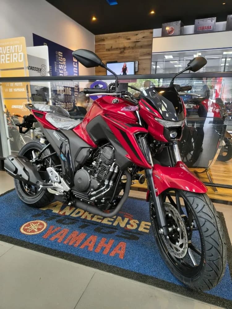 FZ 25 / Leandro