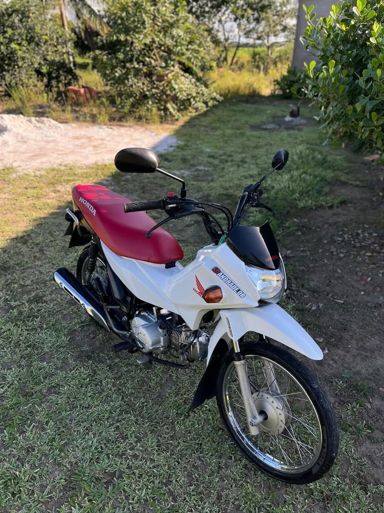 Pop 110