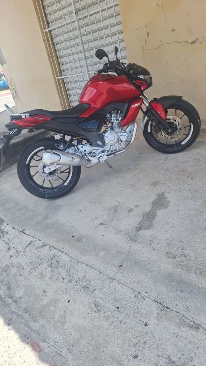 Fz15 