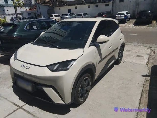 BYD Dolphin Mini (Elétrico) 2025