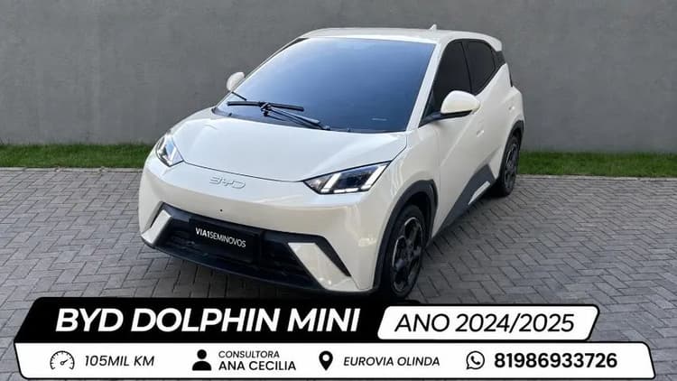 BYD Dolphin Mini (Elétrico) 2027