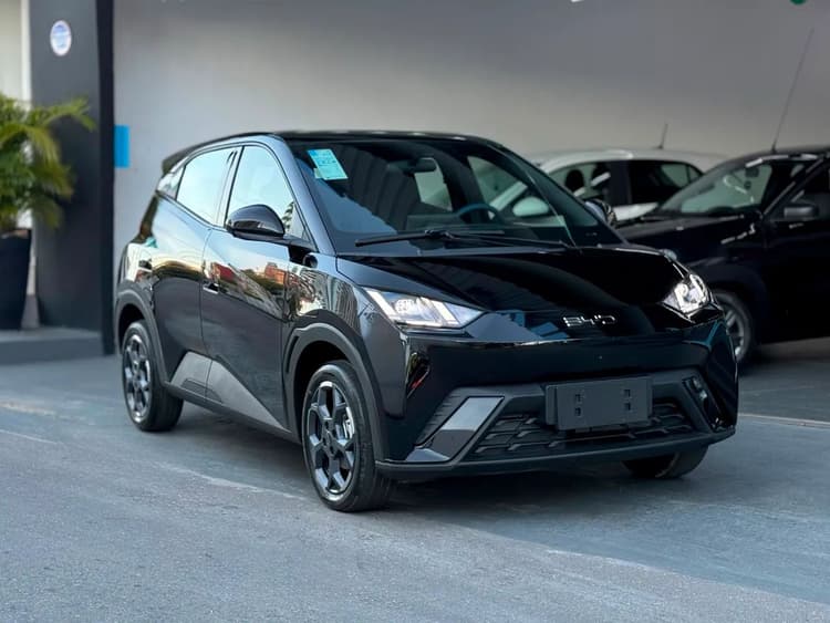 BYD Dolphin Mini (Elétrico) 2027