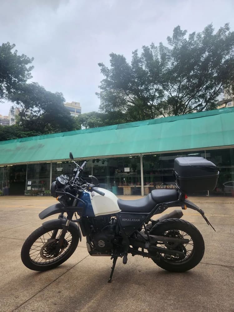 himalayan 411 oportunidade!