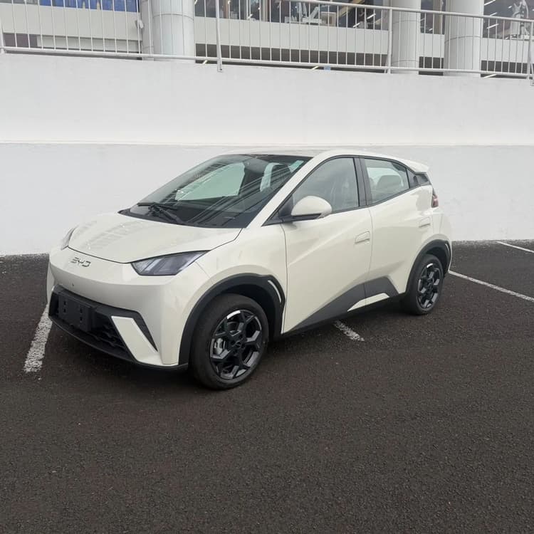 BYD Dolphin Mini (Elétrico) 2027