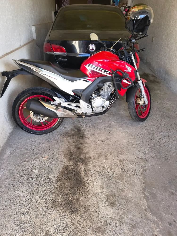 Tuiste 250
