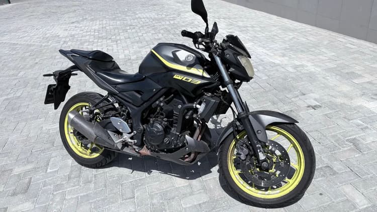 Mt 03 2019 V/T