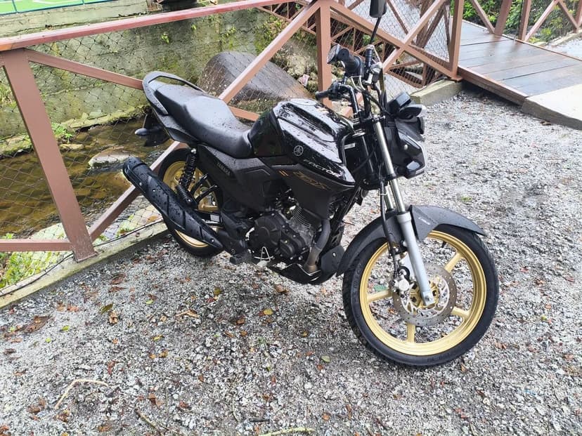 Factor DX 150 2026.