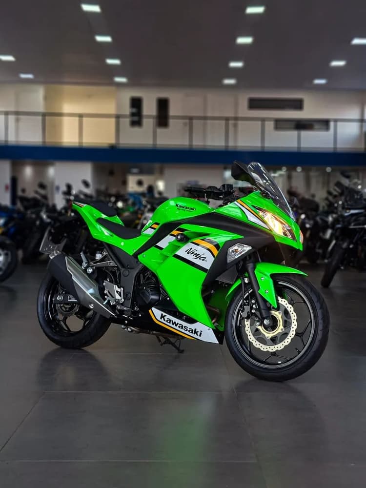 Kawasaki Ninja 300 cc 