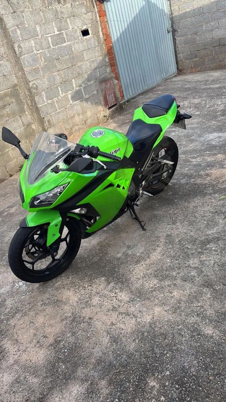 Ninja 300 2013