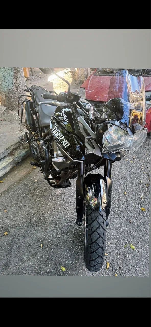 Tiger 800