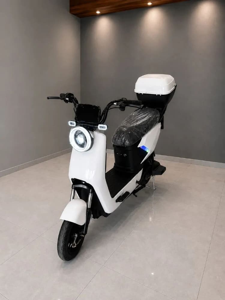 MODELO MAJIM STANDART