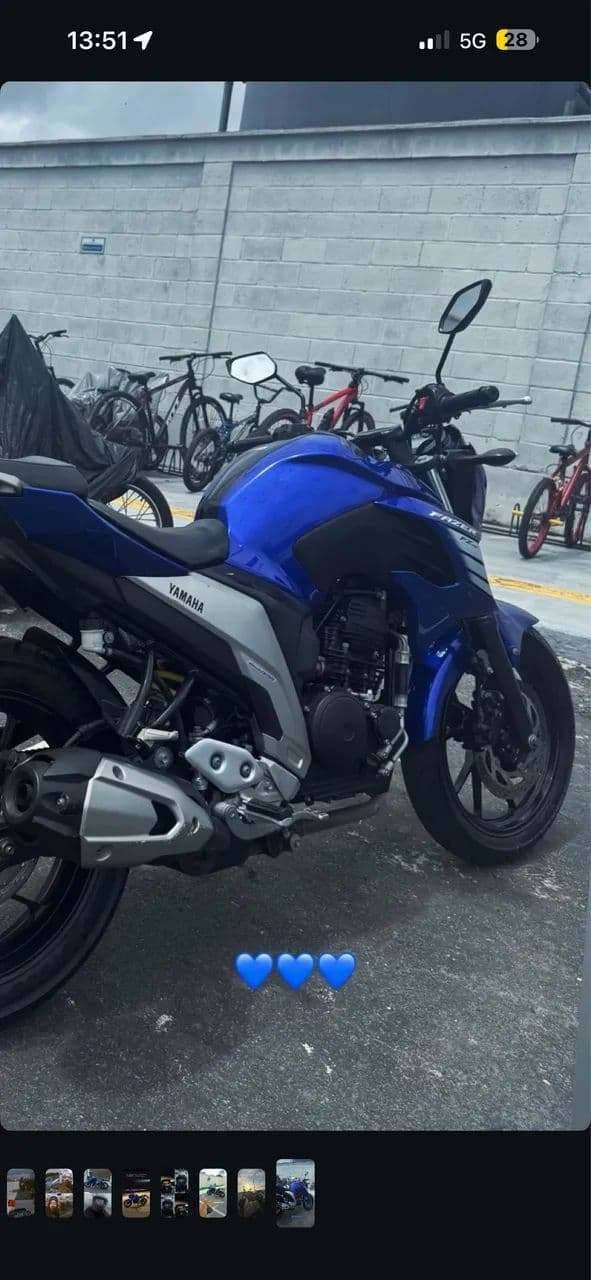 FZ250 2023