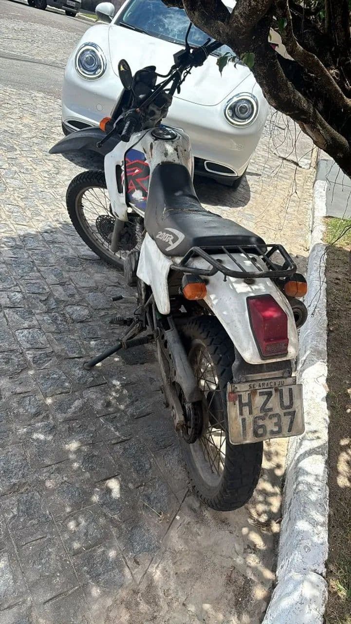 Watts79991126629zap