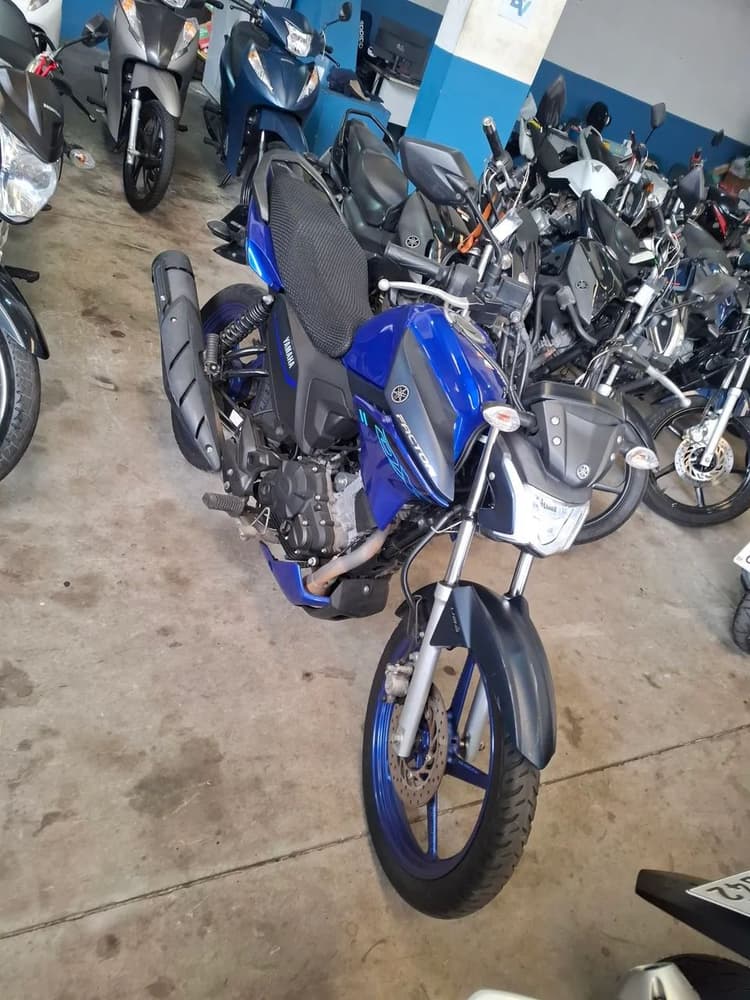 Yamaha Factor 2025