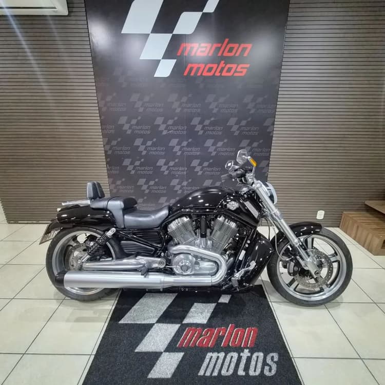 V-ROD 1250cc MUSCLE VRSCF