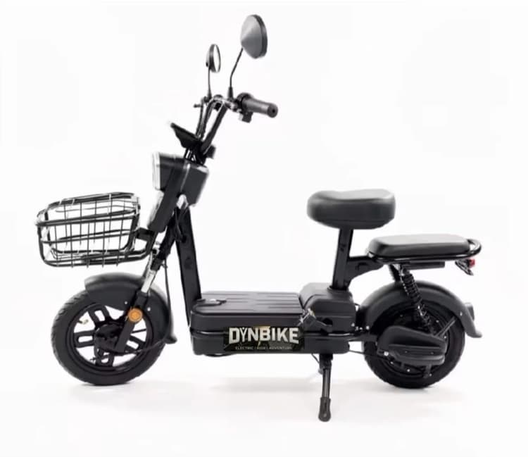 DYNBIKE 