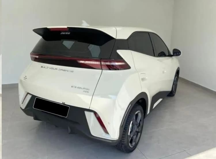 BYD Dolphin Mini (Elétrico) 2025