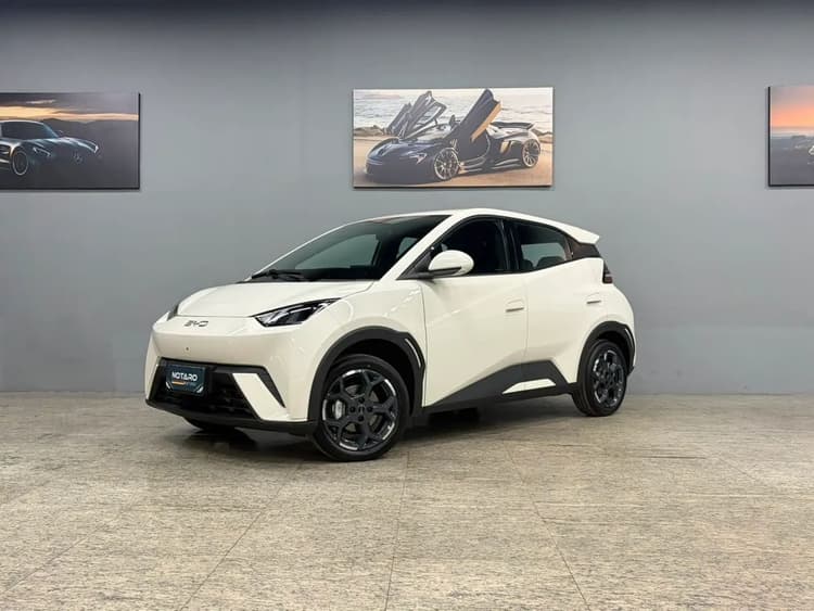 BYD Dolphin Mini (Elétrico) 2027
