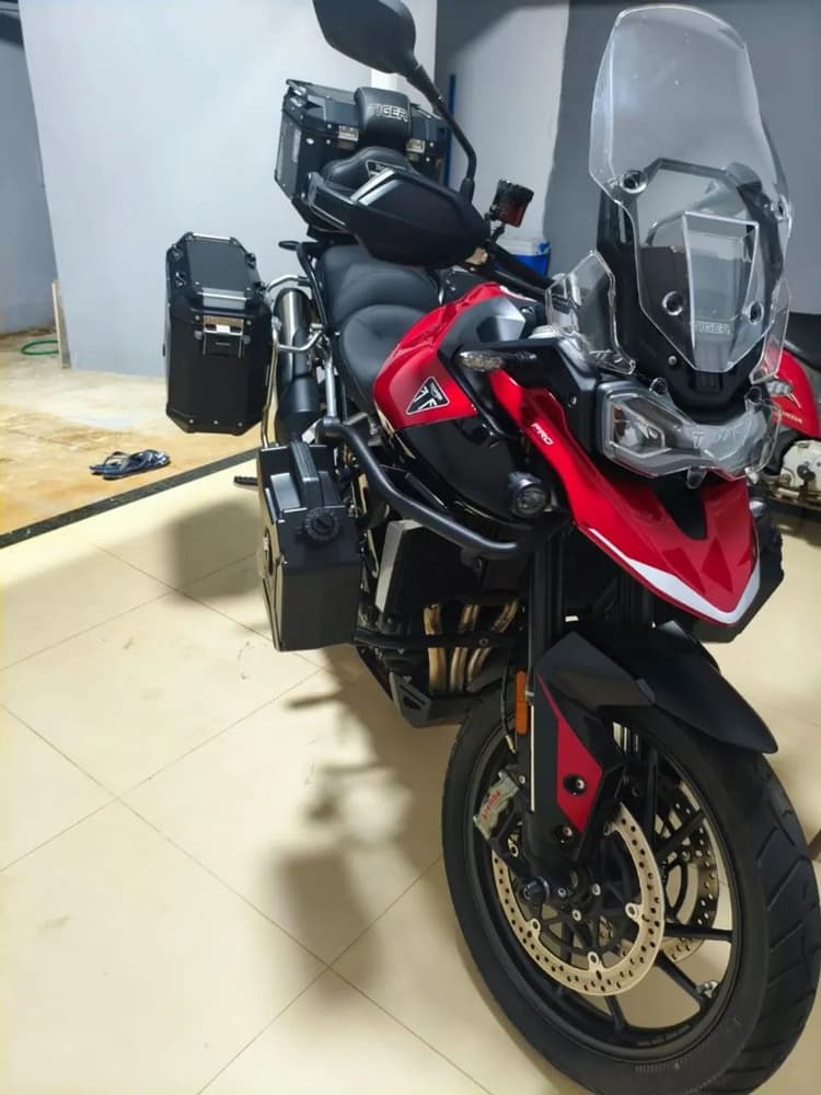 Tiger 900 GT Pro