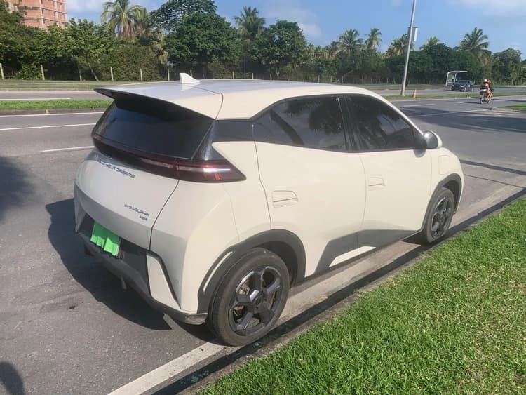 BYD Dolphin Mini (Elétrico) 2024
