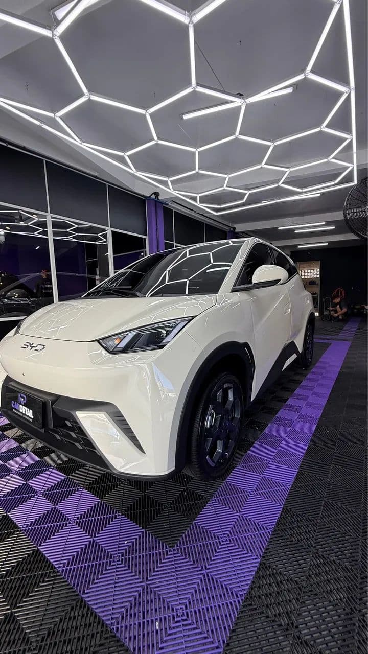 BYD Dolphin Mini (Elétrico) 2027